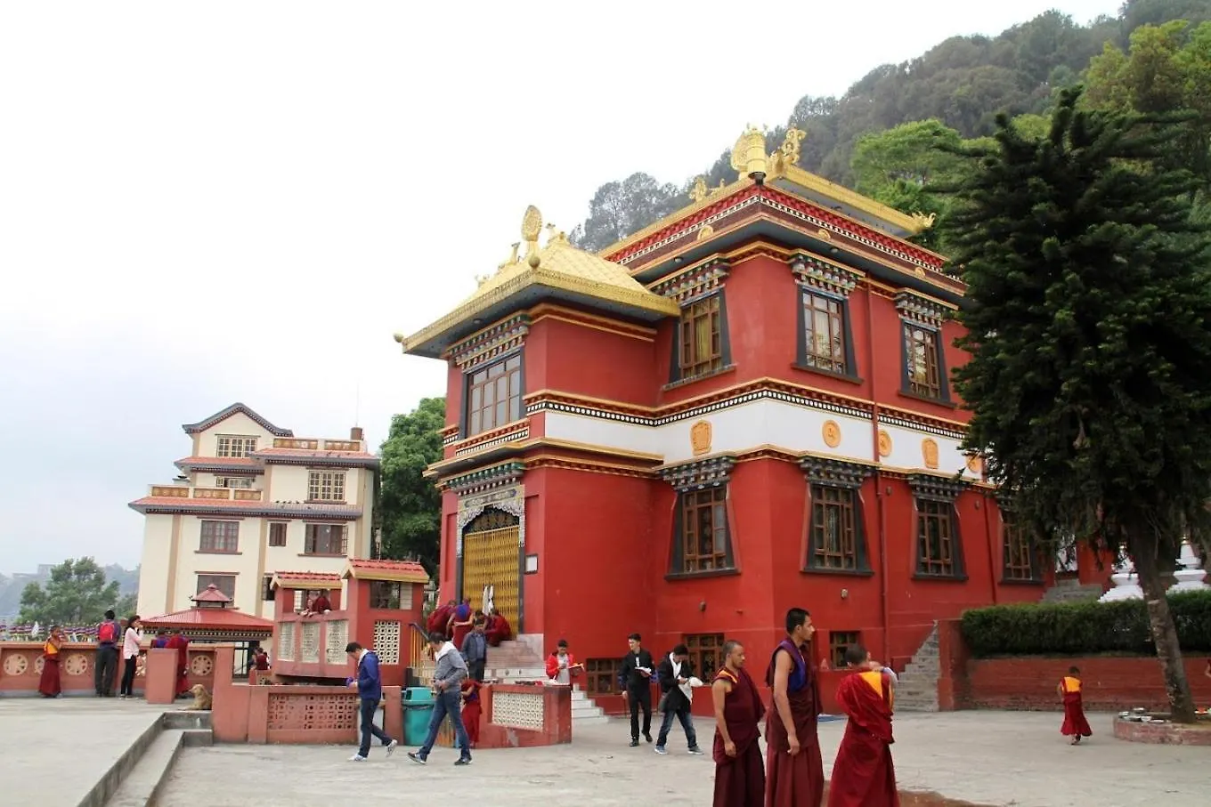 House Of Forrest, Service Apartments Kathmandu Nepal