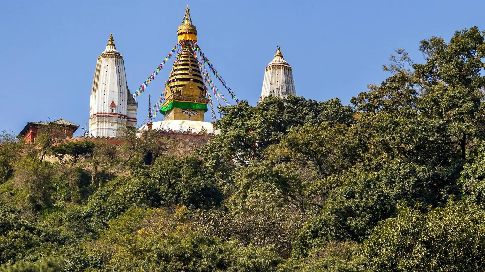 House Of Forrest, Service Apartments Kathmandu